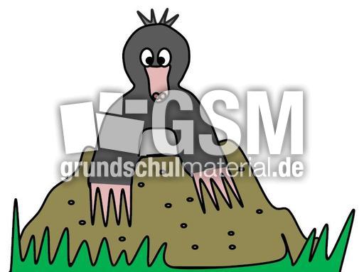 Maulwurf.jpg